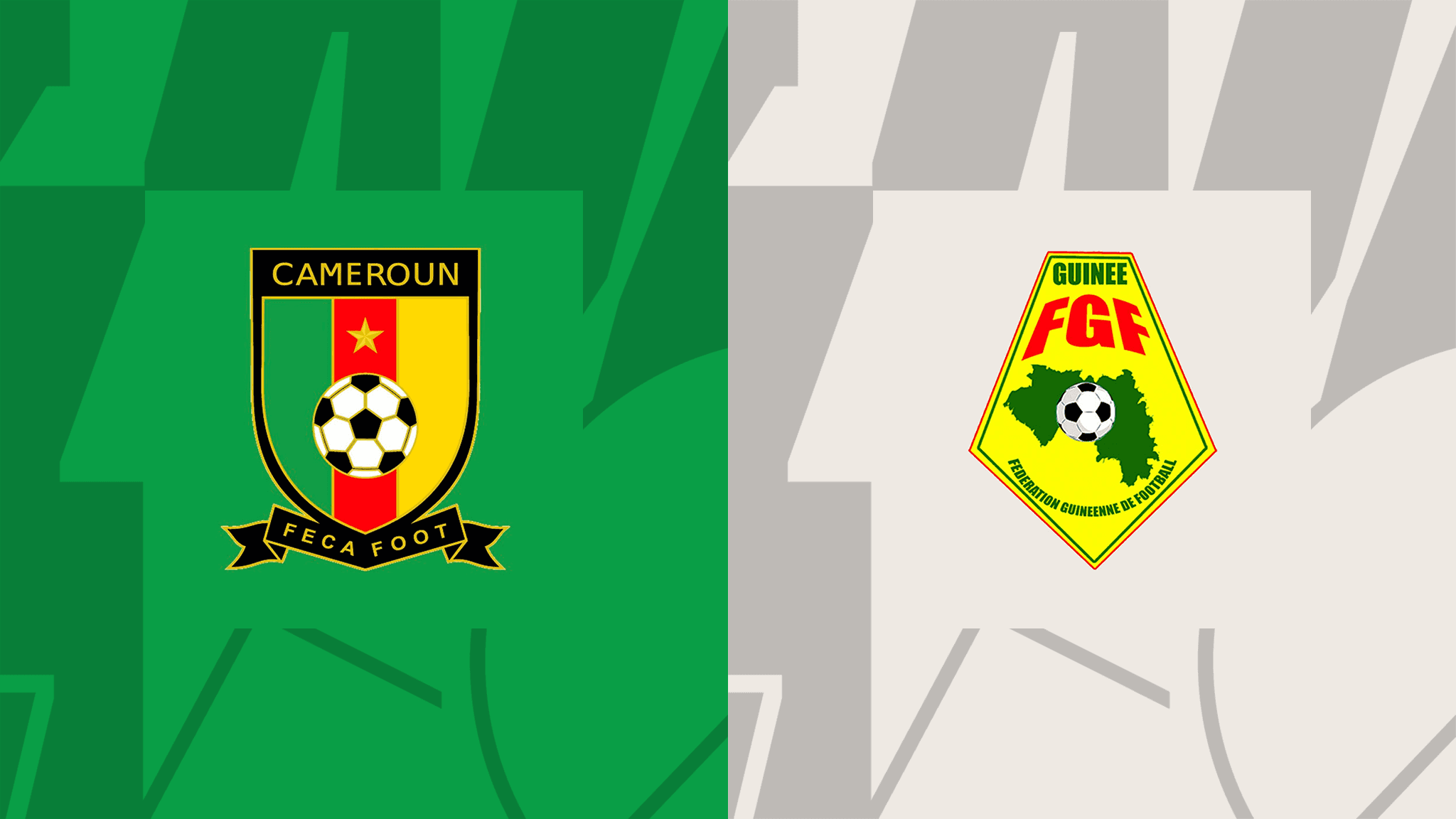 Cameroon vs Guinea, AFCON 2023, 15-Jan-2024