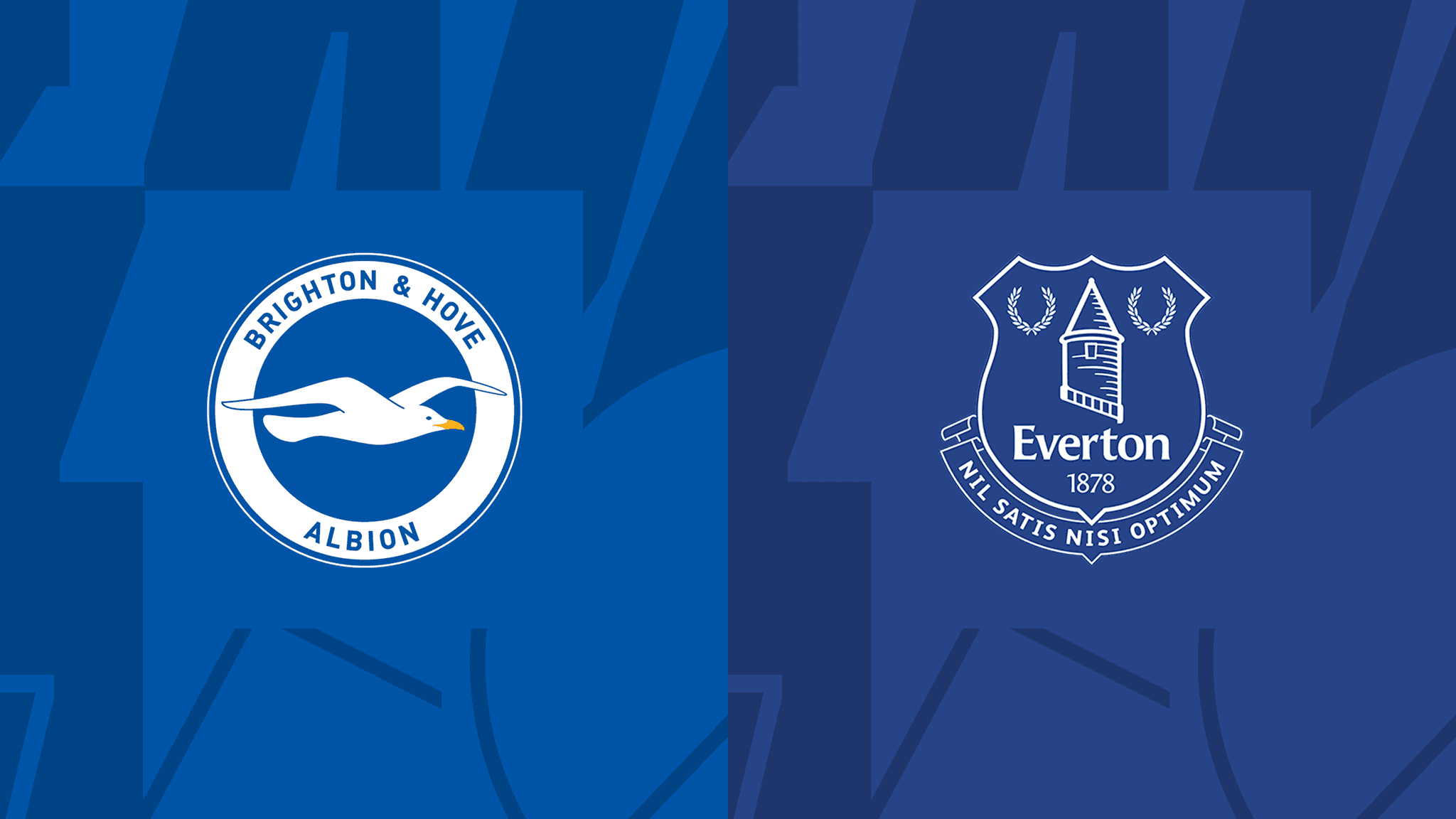 Brighton & Hove Albion  vs Everton – Premier League – 24-Feb-2024
