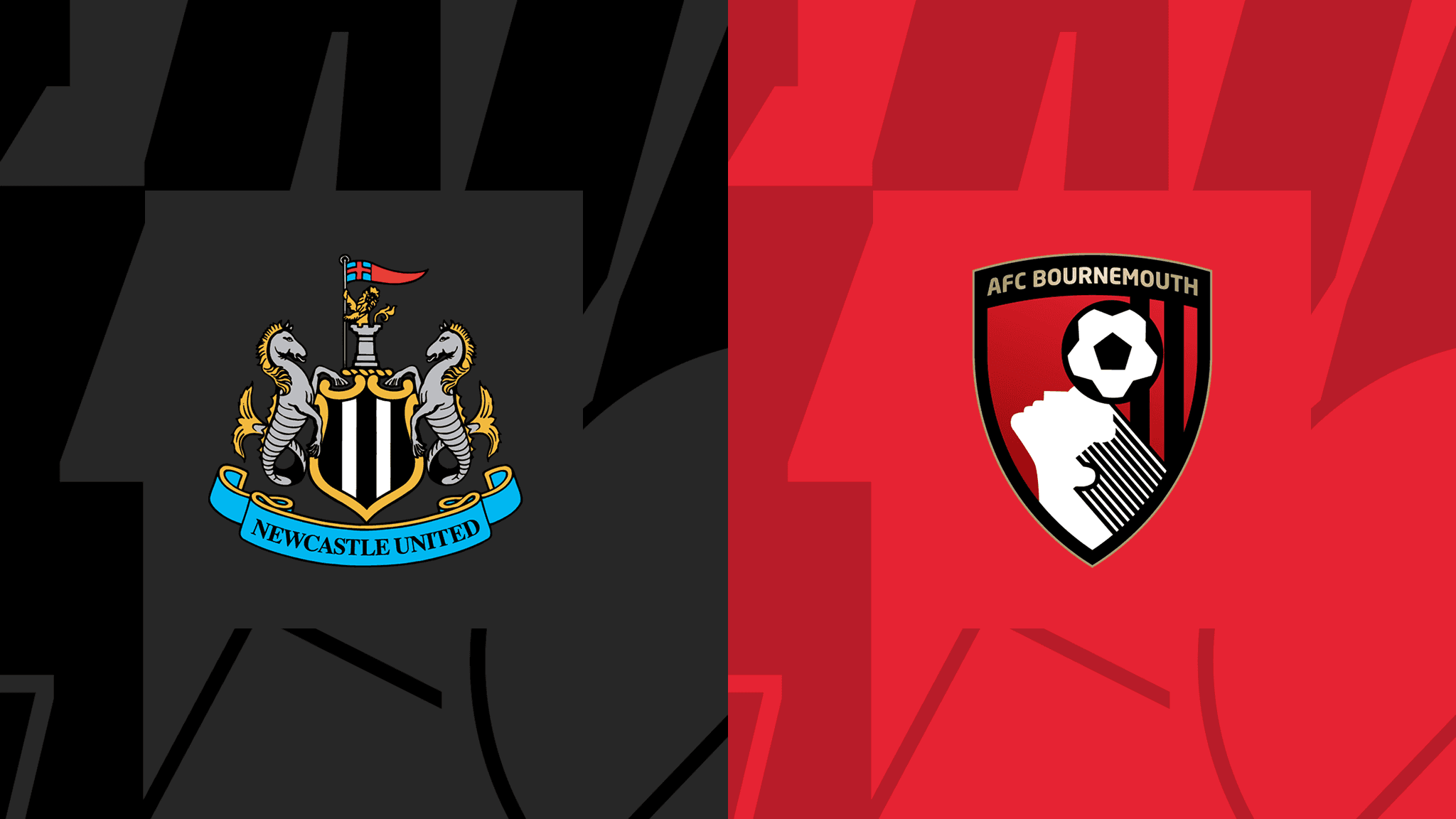 Newcastle United vs AFC Bournemouth – Premier League – 17-Feb-2024
