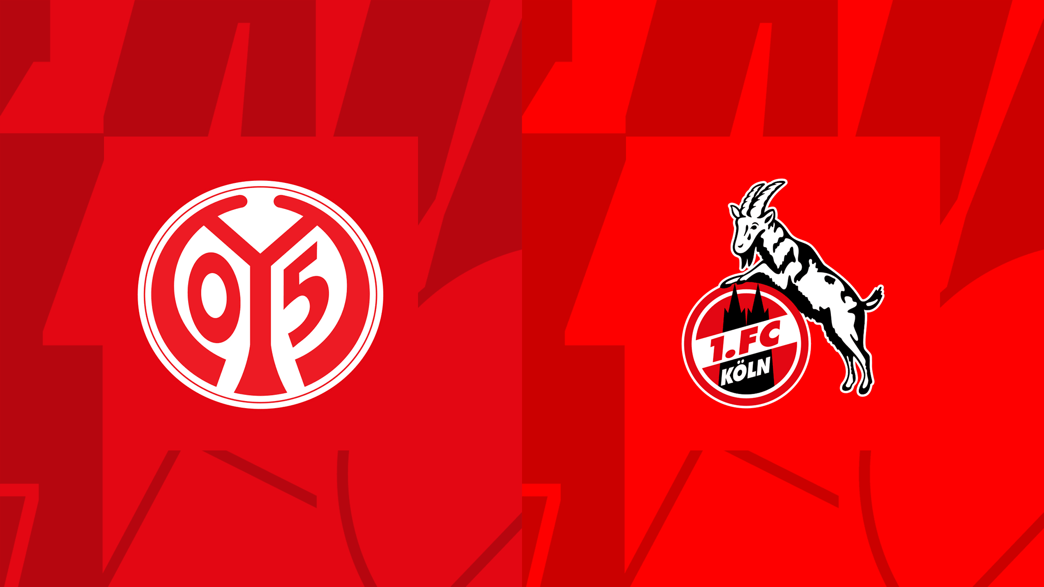 Mainz  vs FC Köln – Bundesliga – 28-Apr-2024