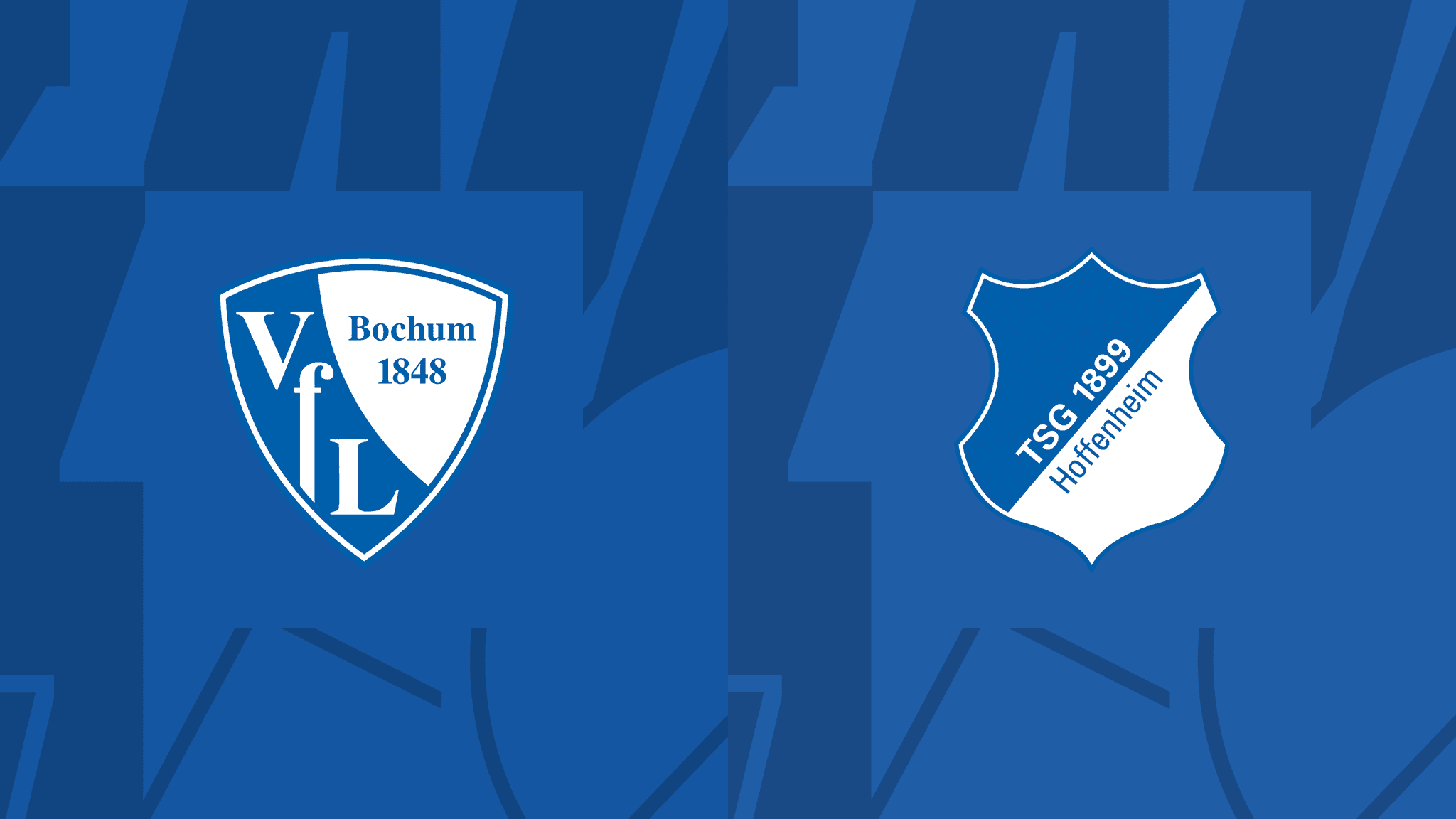 VFL Bochum  vs Hoffenheim – Bundesliga  – 26 -APR-2024