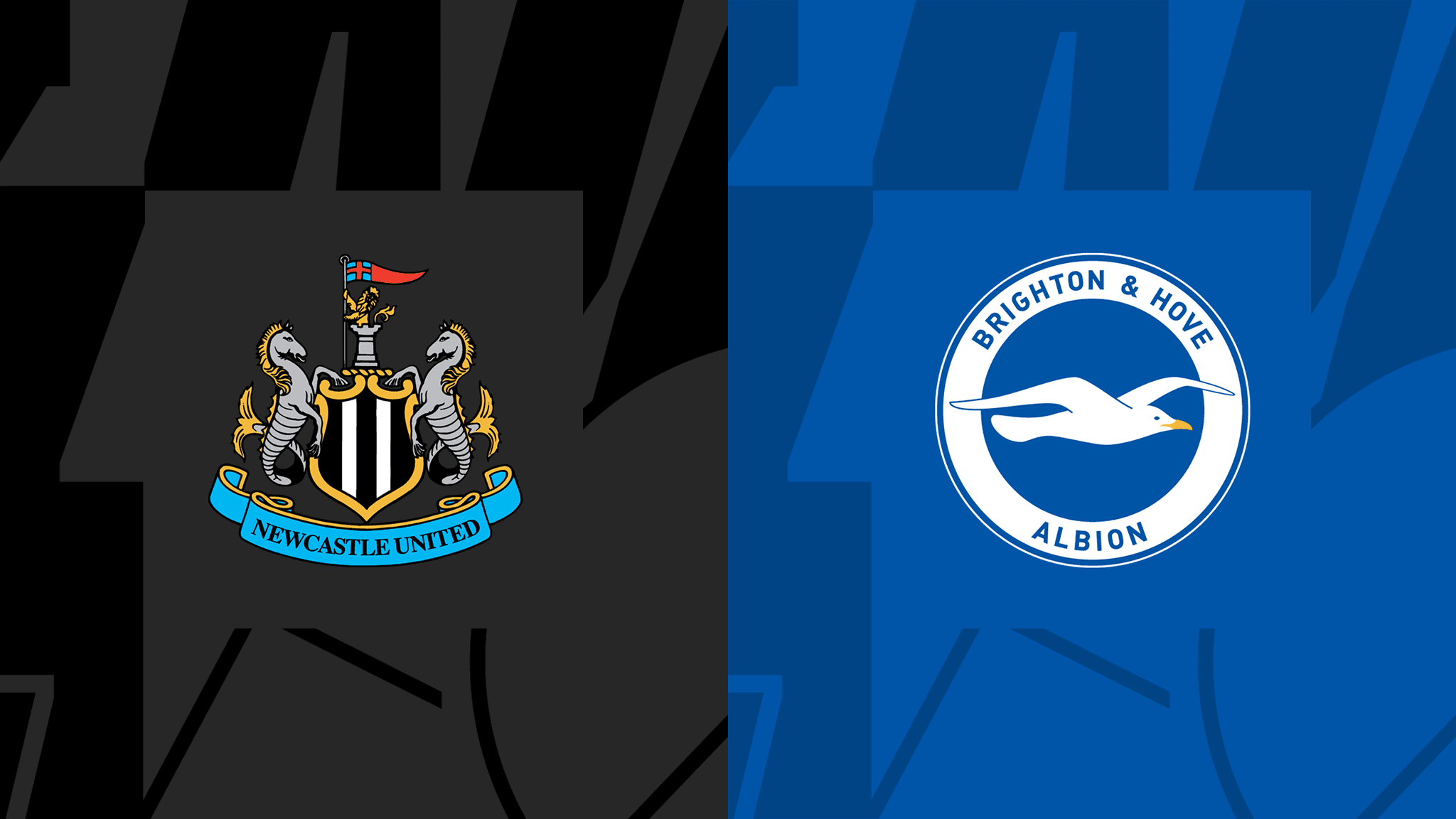 Newcastle United vs Brighton & Hove Albion