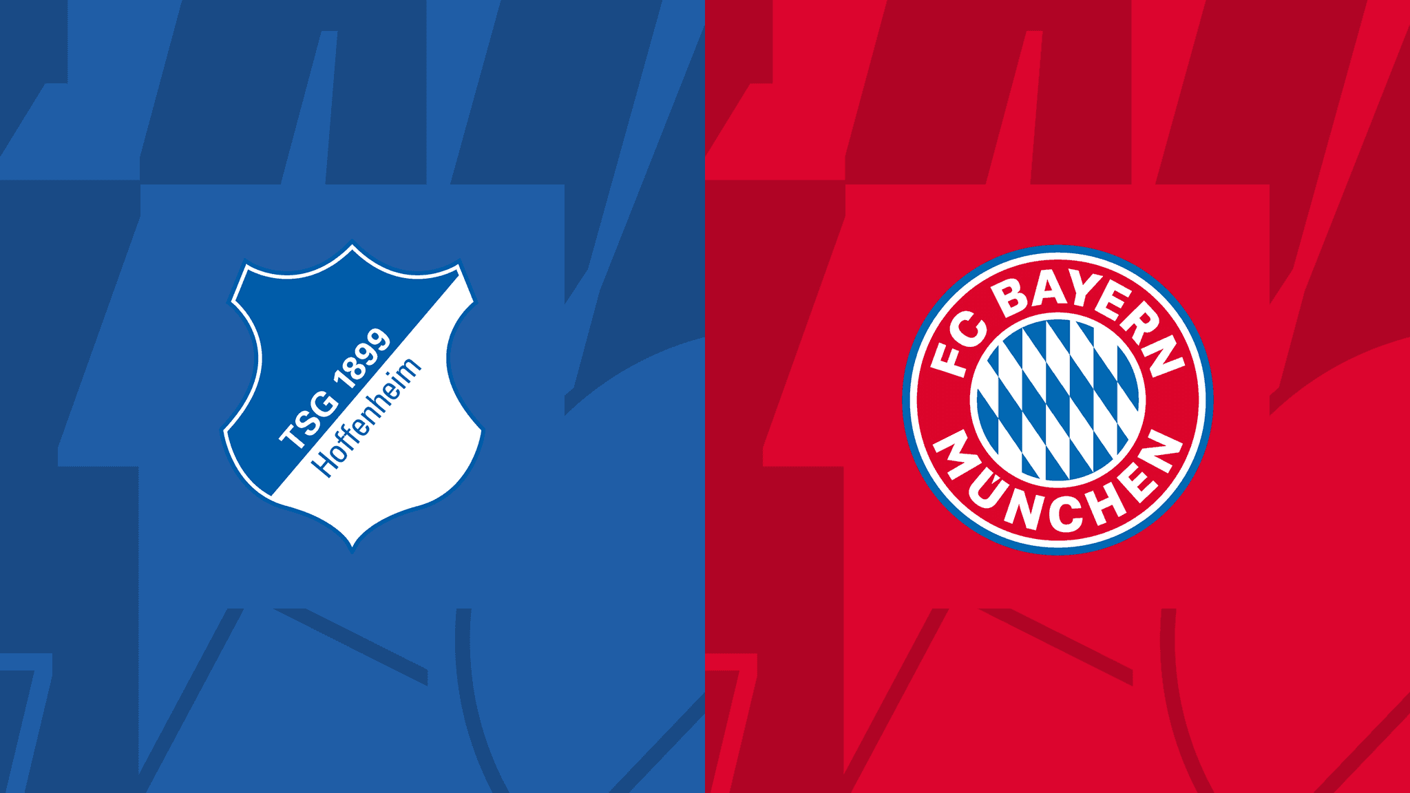 Hoffenheim vs  Bayern München  – Bundesliga – 18-May-2024